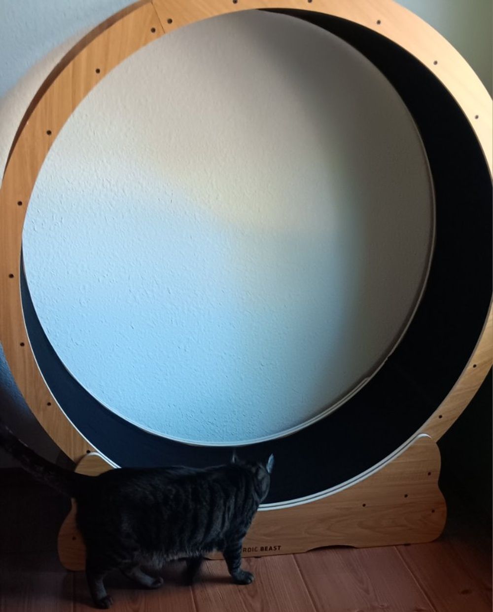 the Nordic Beast Cat Exercise Wheel