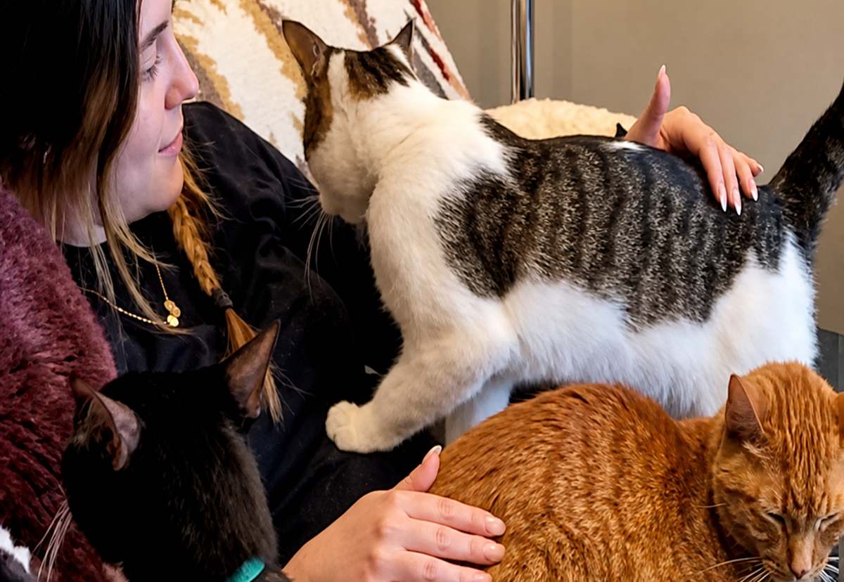 Cat lady goals