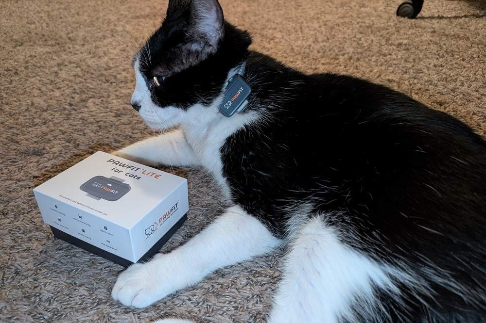Pawfit Lite 4G