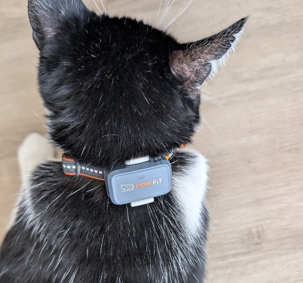 Pawfit Lite GPS-tracker