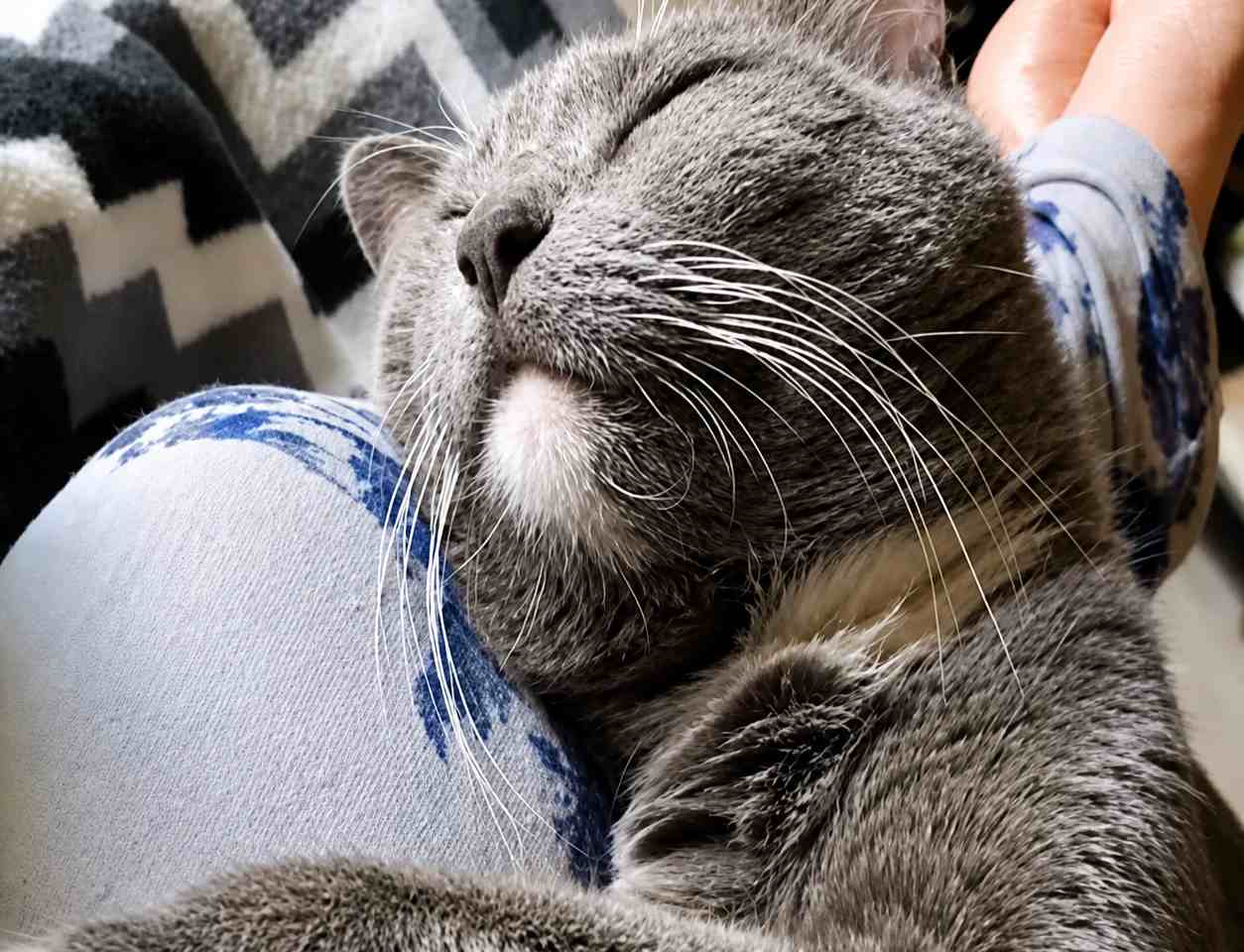 Pure bliss