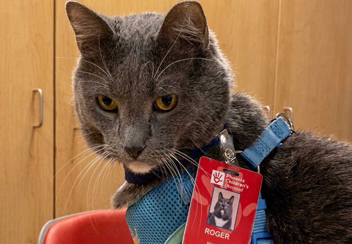 Roger from Phoenix Children's