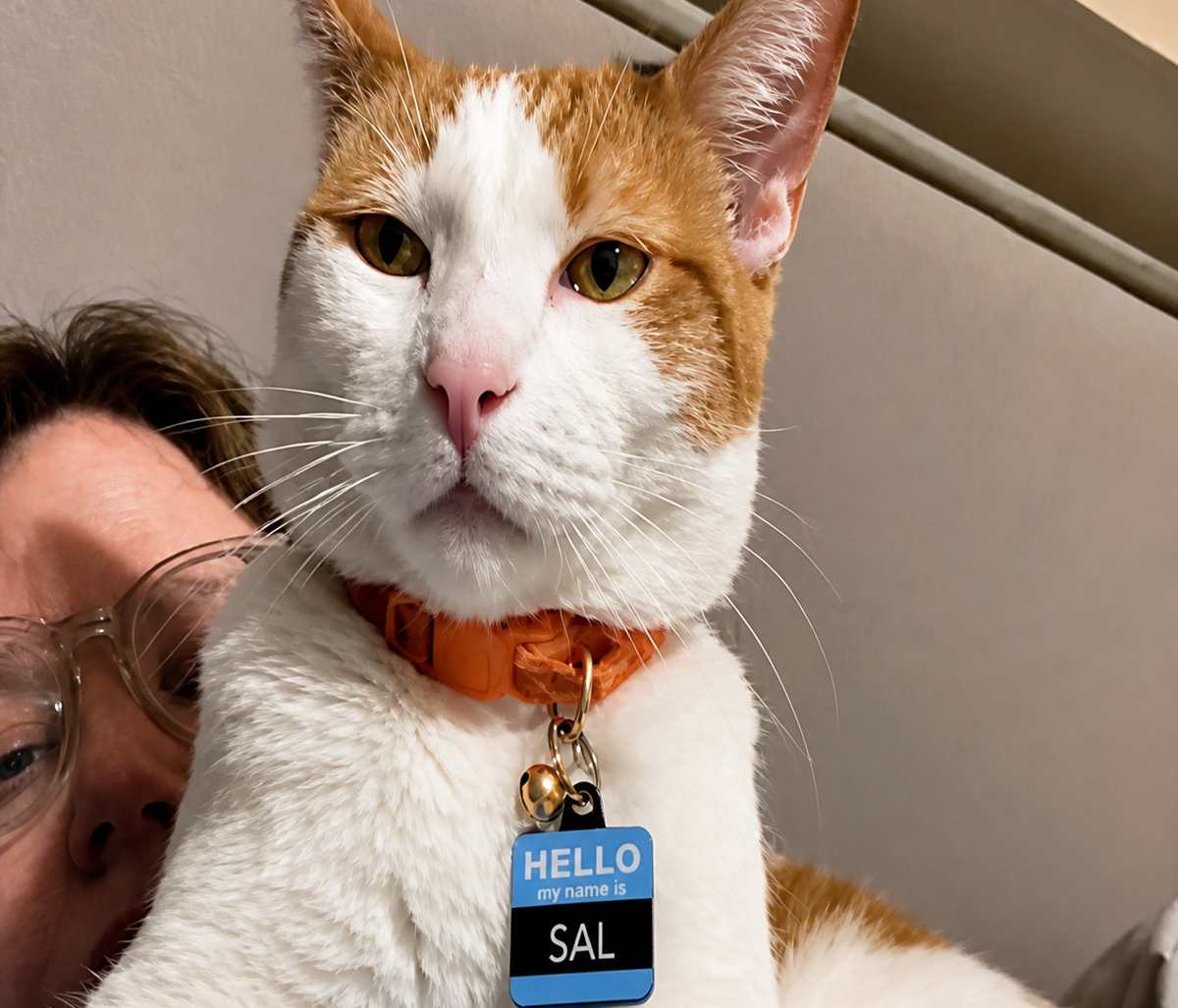 Sal says hello