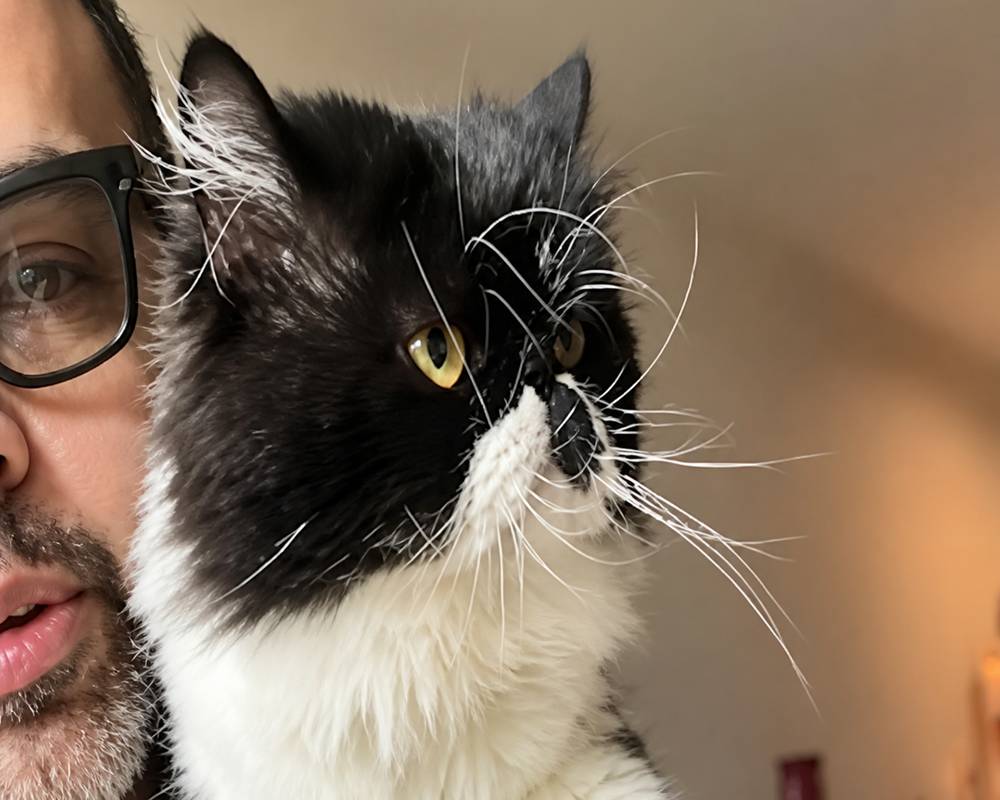 Shoulder cat selfie