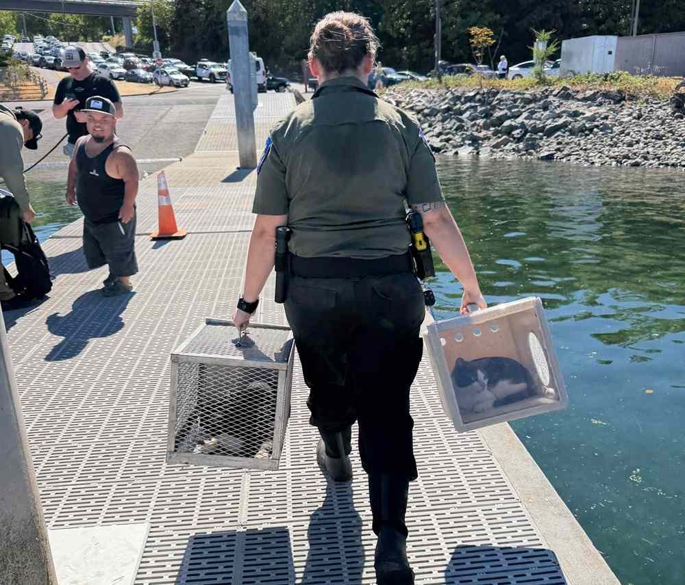 Tacoma Police Department Boat Cats