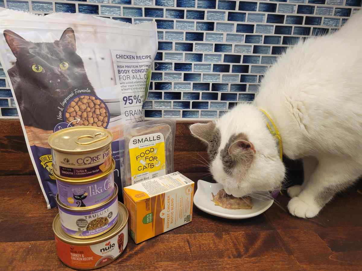 Best Cat Foods for Indoor Cats