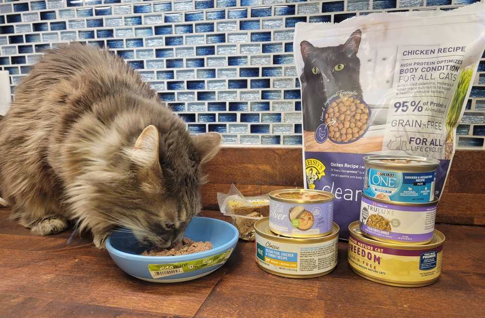 Best Cat Foods for Indoor Cats