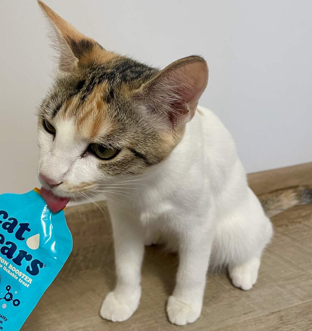 Cat Years Hydration Booster.