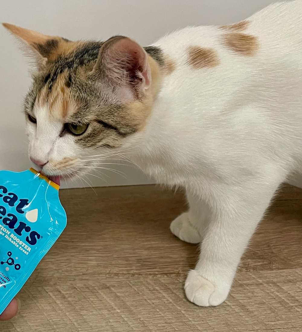 Cat Years Hydration Booster,