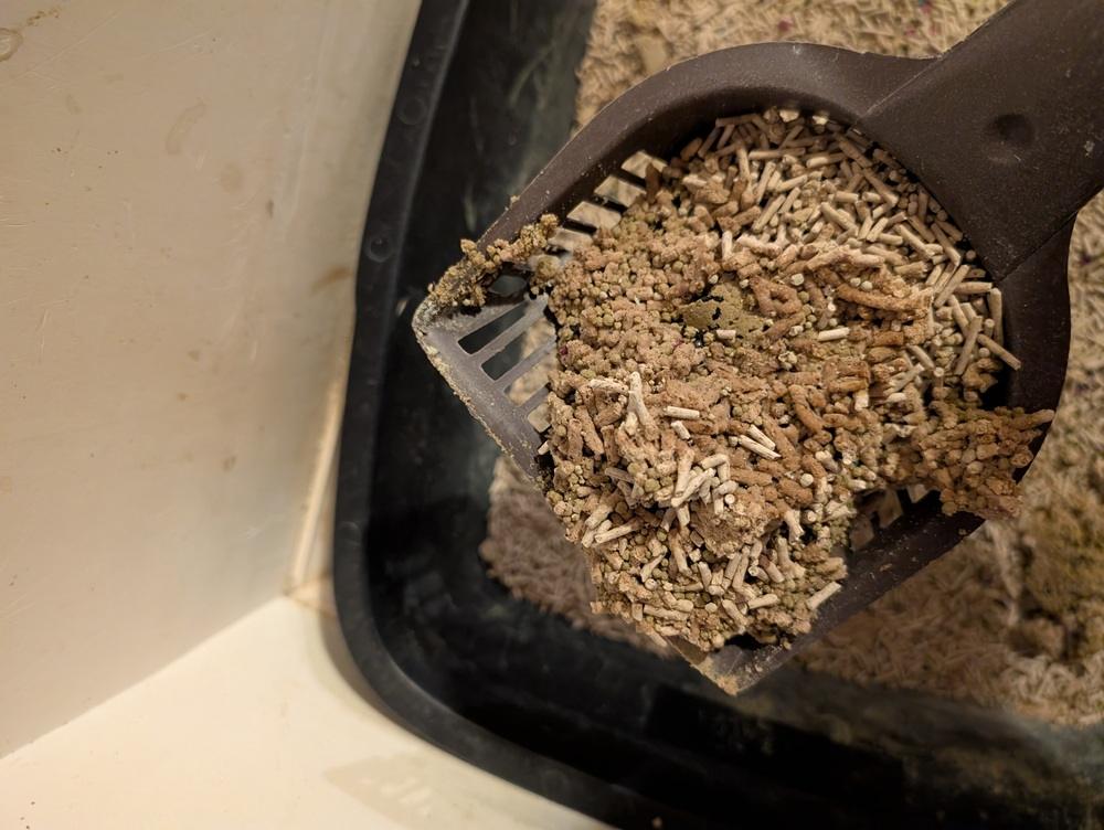 Coffee Scented Tofu Clumping Cat Litter