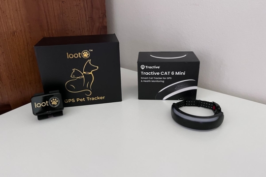 Tractive vs. Lootpaw: We Tested Both GPS Cat Trackers—Here’s What We Found