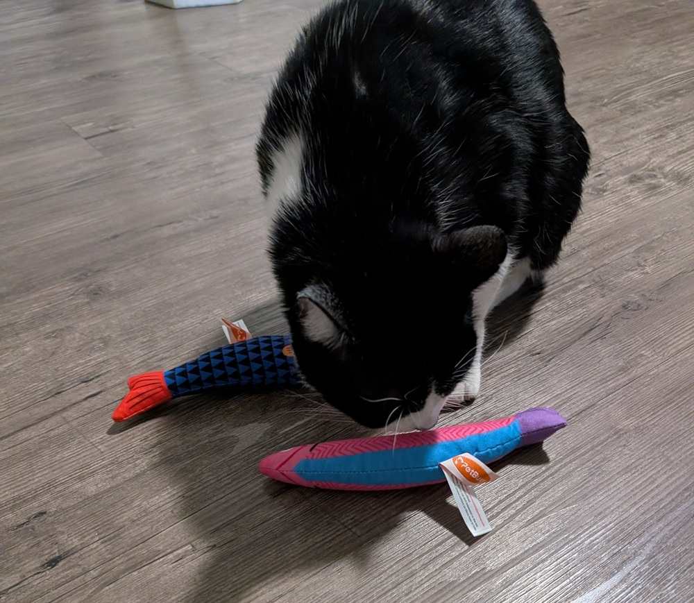 PetBusy Catnip & Silvervine Kicker Toy