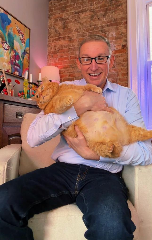 Pumpkin cat