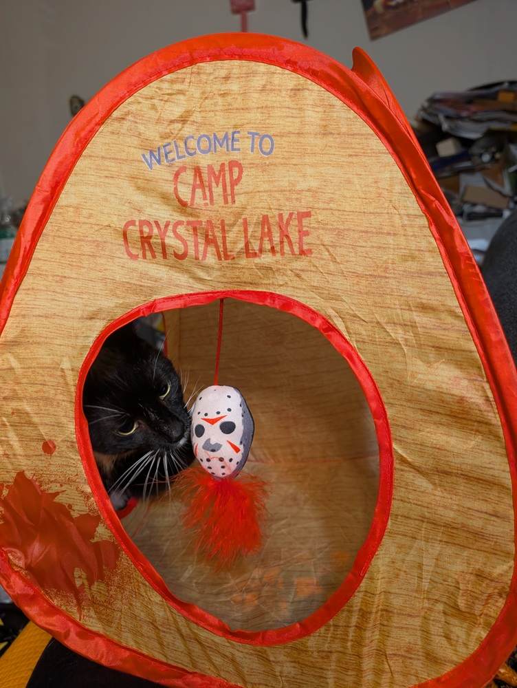 Tailtastic Halloween Cat Scratcher-huis