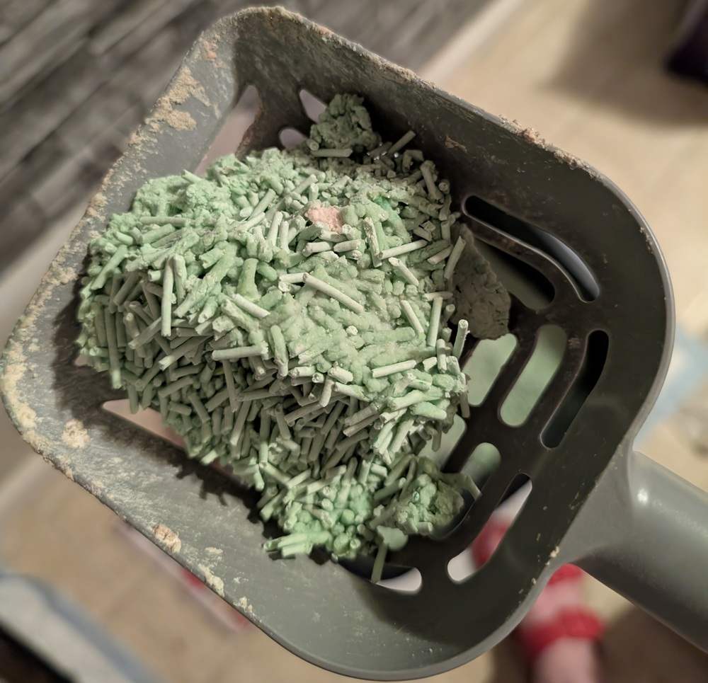 Tofu Cat Litter - Green Tea