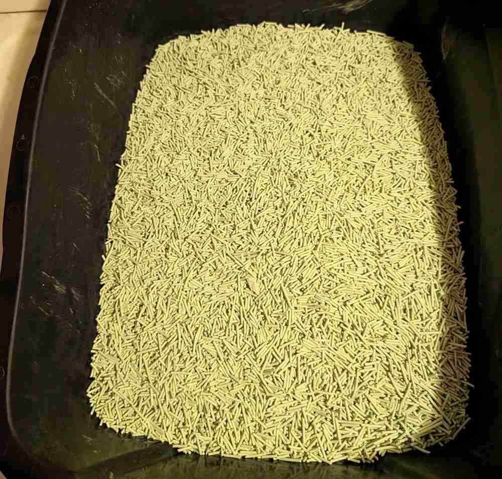 Tofu Cat Litter - Green Tea