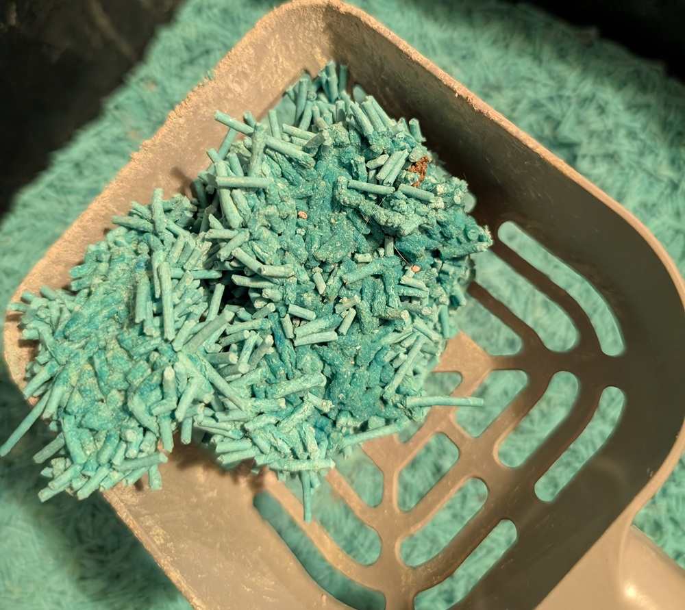 Tofu Cat Litter - Ocean Fresh