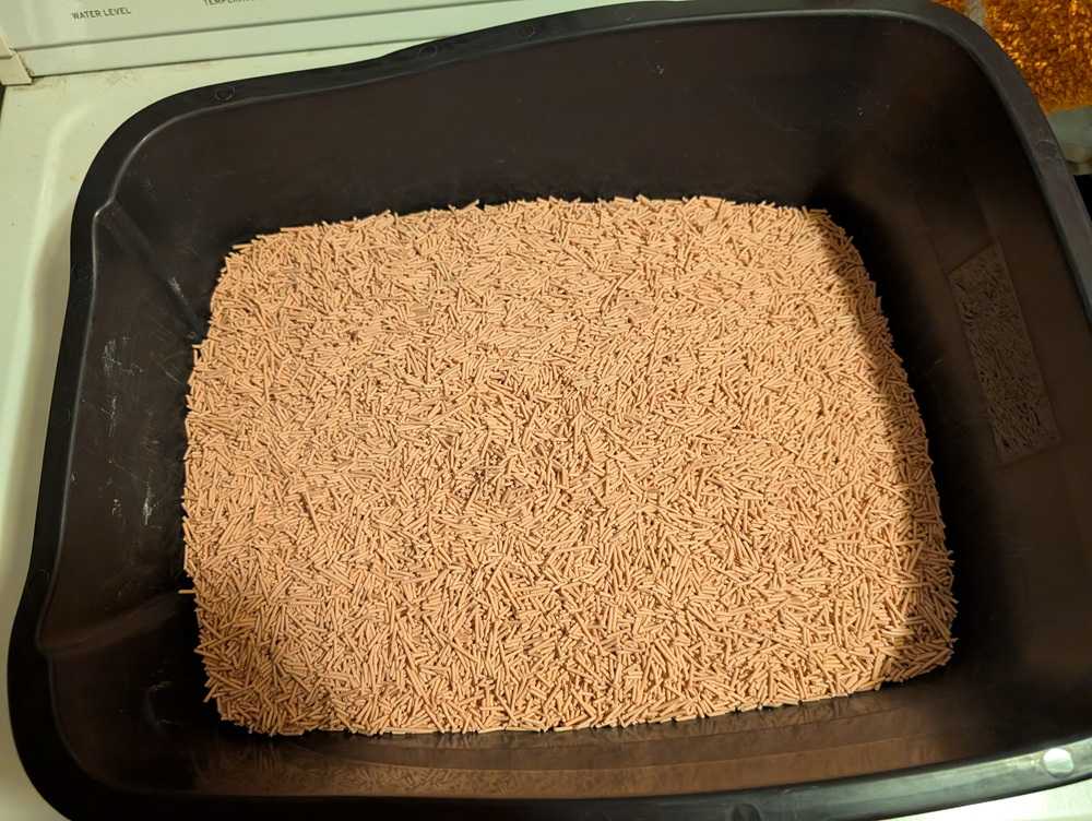 Tofu Cat Litter - Peach