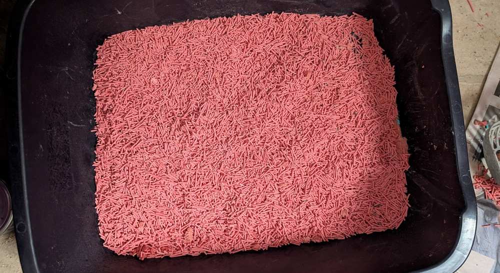 Tofu Cat Litter - Watermelon