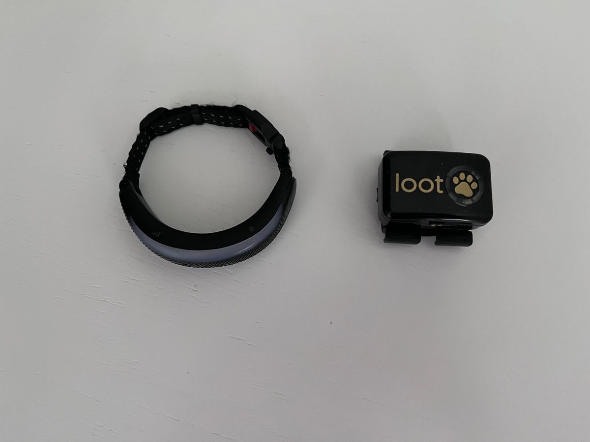Tractive vs Lootpaw