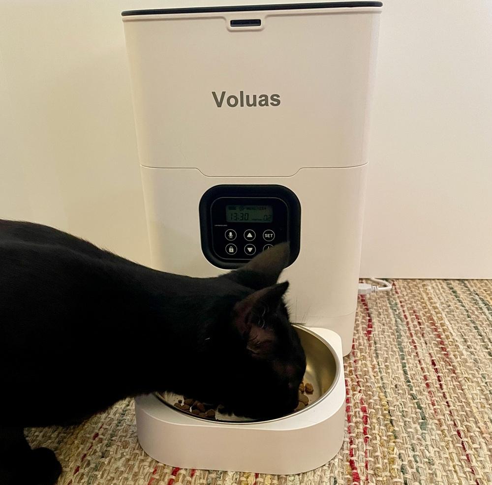 VOLUAS Automatische kattenvoerautomaat