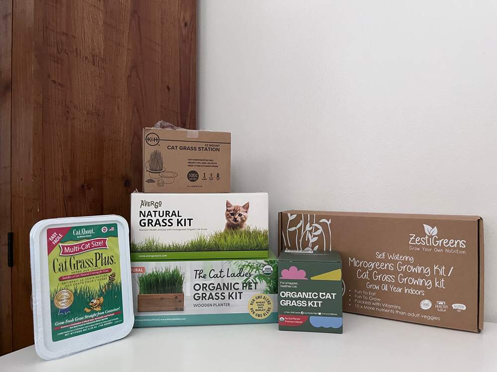 Best Cat Grasses products