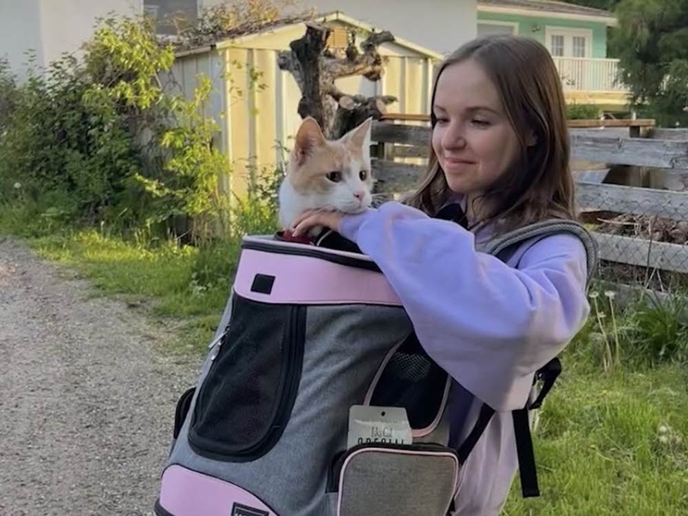 Exploring to cat