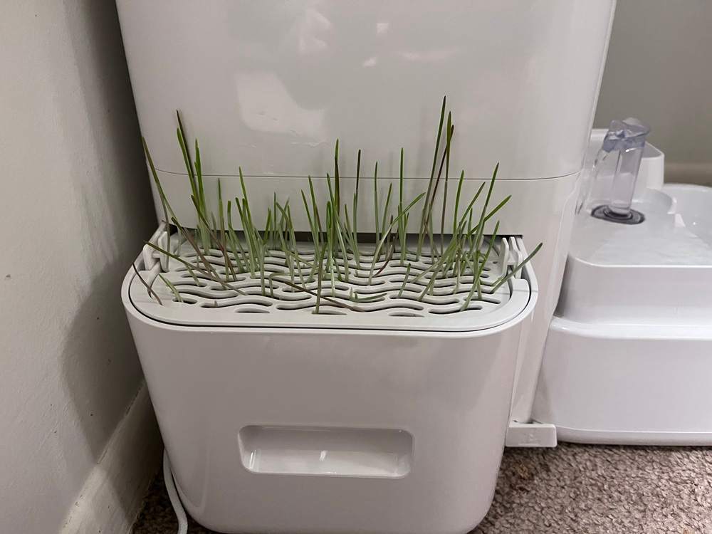 LALAHOME 10L Automatic Cat Water Fountain with Cat Grass Growing Station