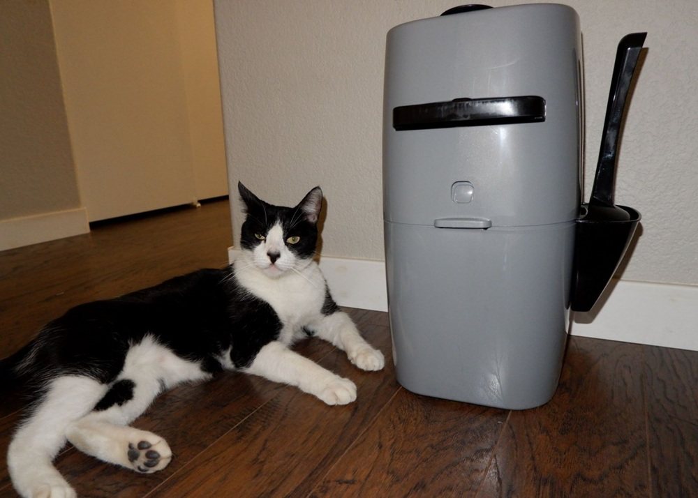 Litter Genie Pail