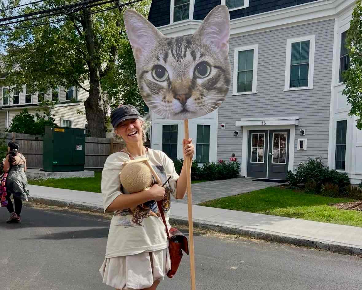 Lower Allston Cat Stroll