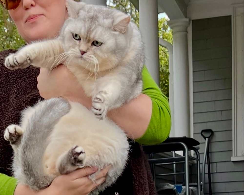 Cat Stroll was organized by resident Ashley Lesperance