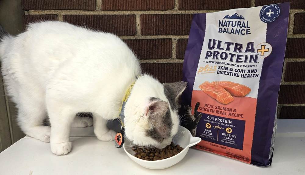 Natural Balance Ultra Protein Plus Real Salmon & Chicken Meal Recipe Dry Cat Food