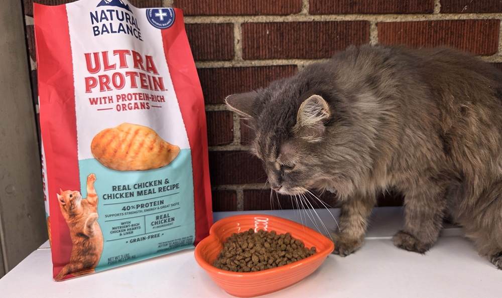 Natural Balance Ultra Protein Real Chicken & Chicken Meal Recipe Dry Cat Food