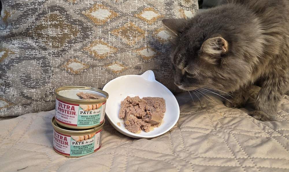 Natural Balance Ultra Protein Real Chicken Recipe with Protein-Rich Organs Paté