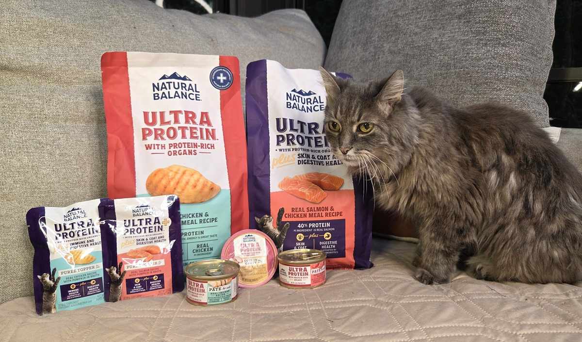 Natural Balance Ultra Protein featured image