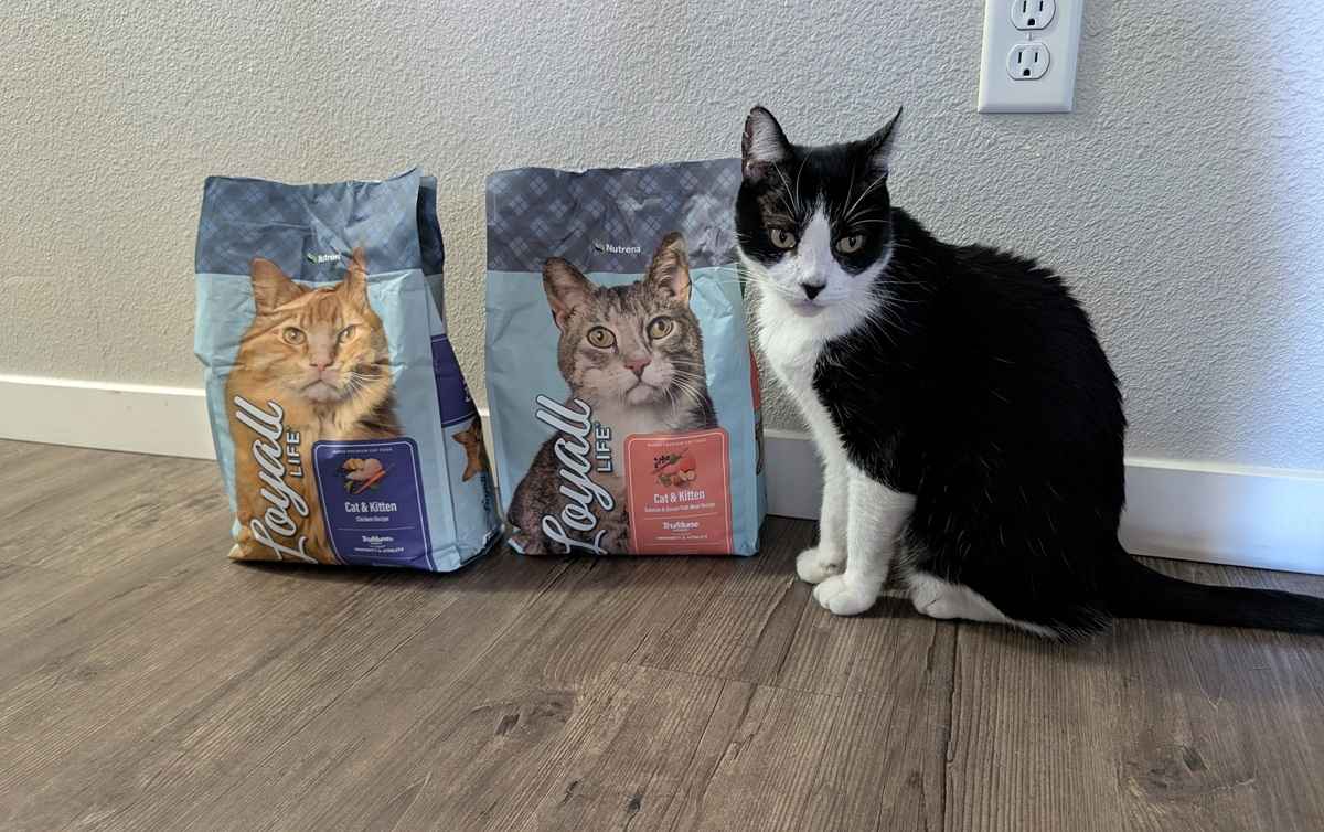 Nutrena Cat Food