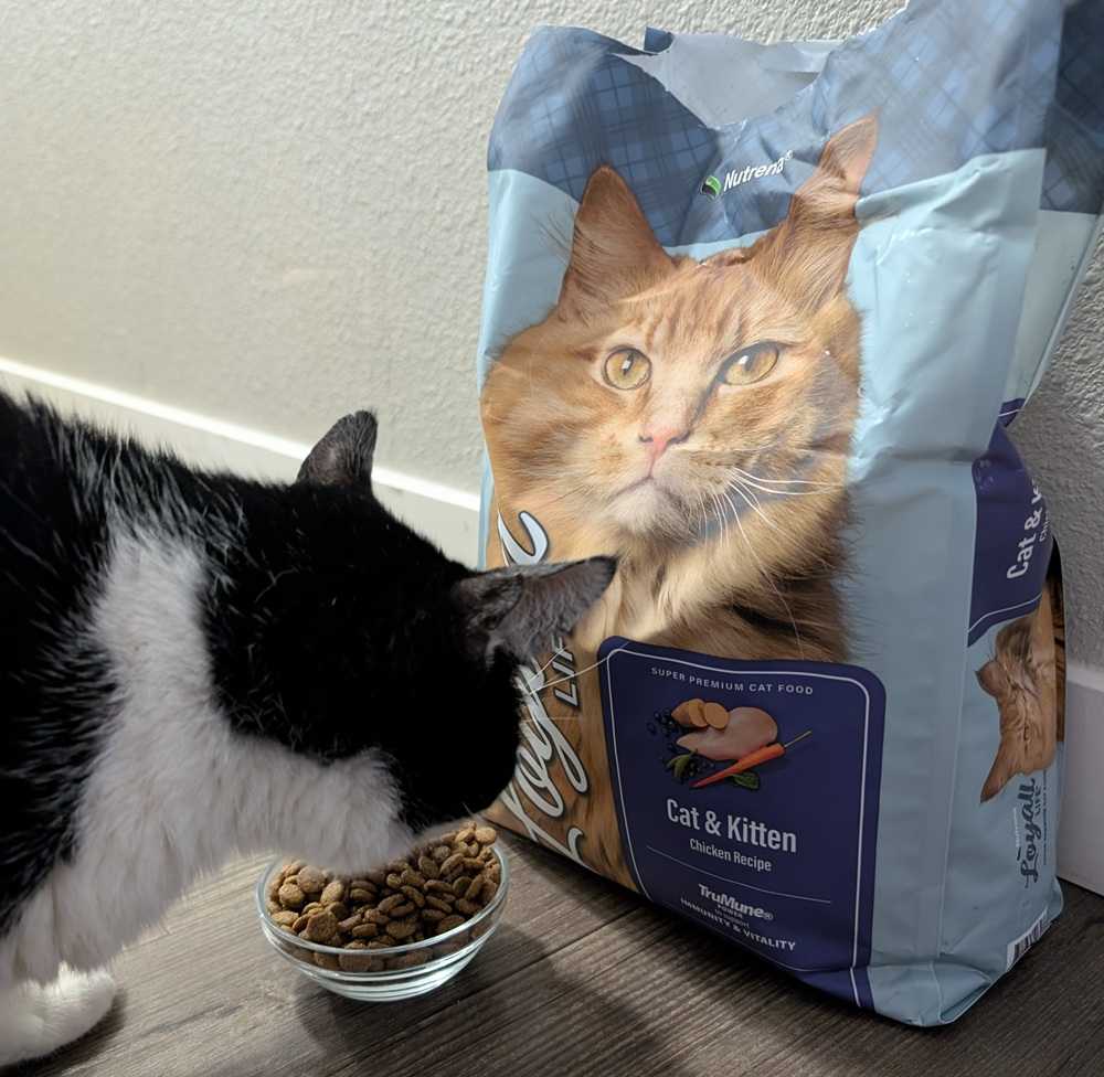 Nutrena Loyall Life Cat & Kitten Recipe
