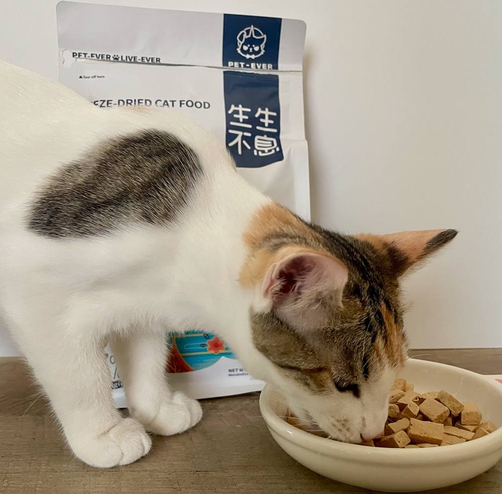 PET-EVER Purefeast High Protein Beef Flavored Freeze-Dried Cat Food & Topper