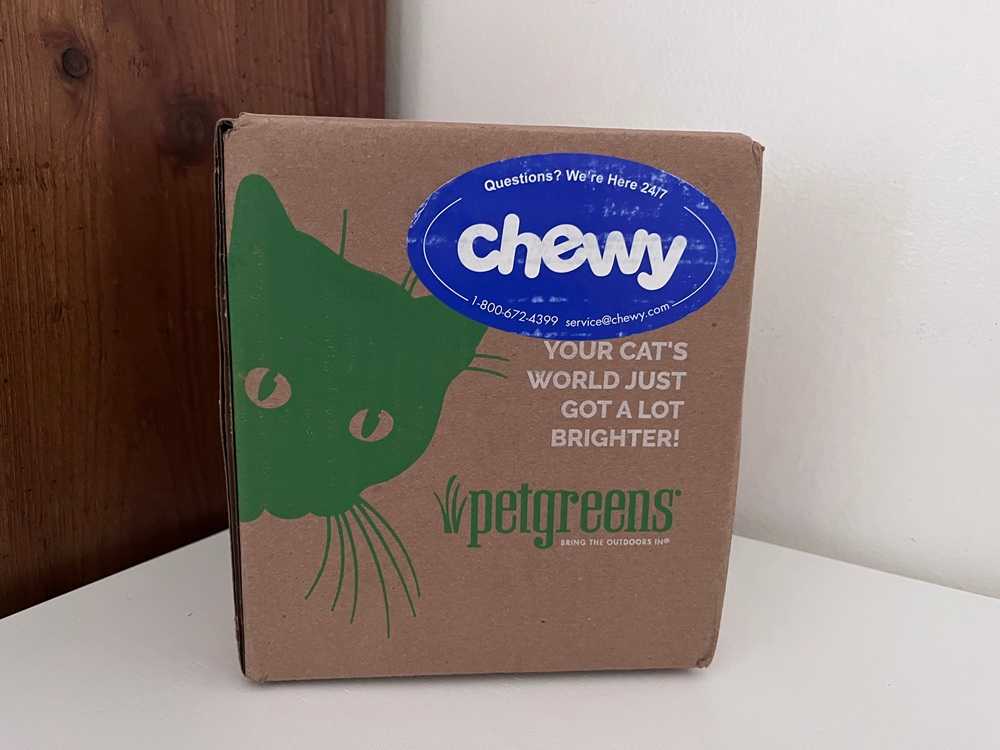 Pet Greens Live Grass Cat Treat