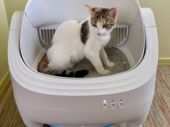 WARCAT Open-Top Self-Cleaning Smart App Control Cat Litter Box