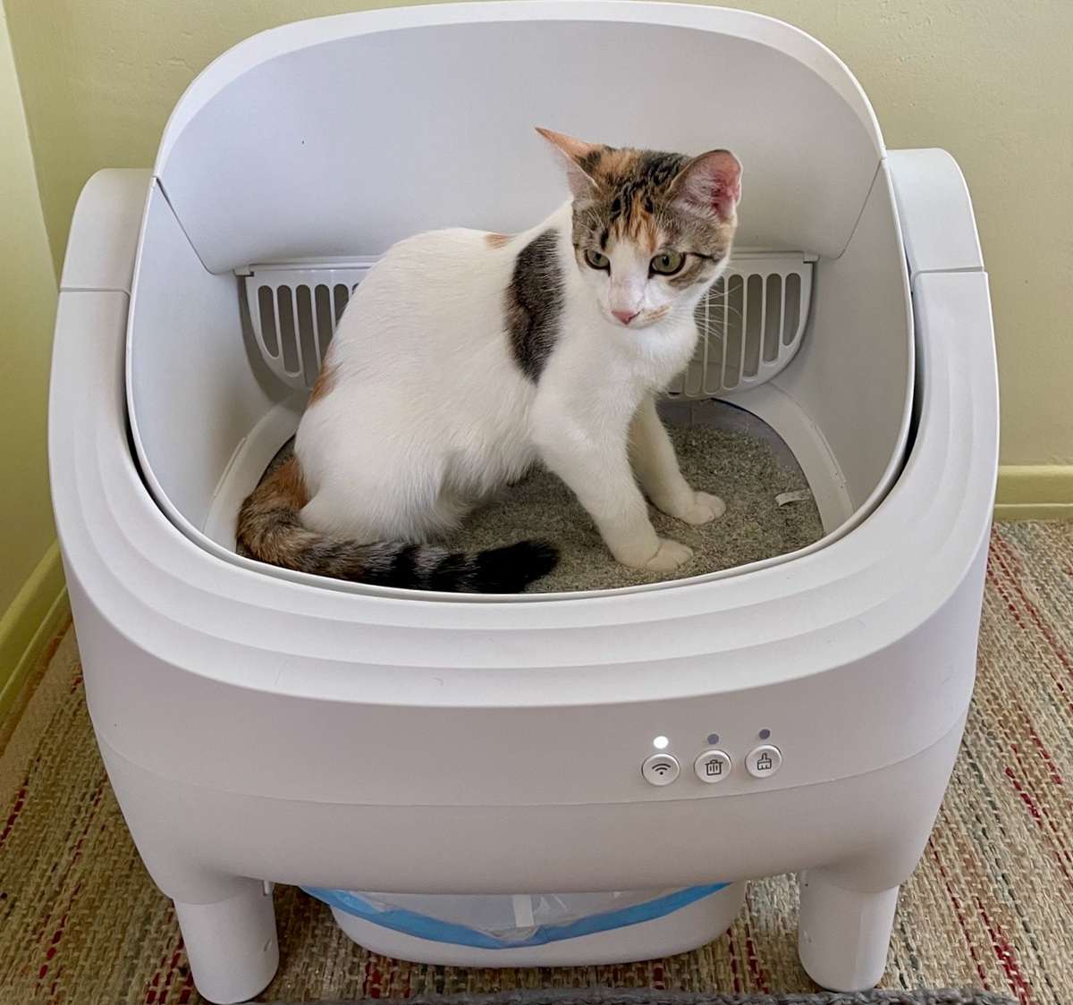 WARCAT Open-Top Self-Cleaning Smart App Control Cat Litter Box