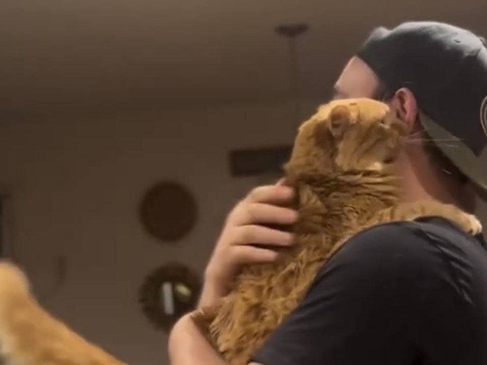 hugs for dad