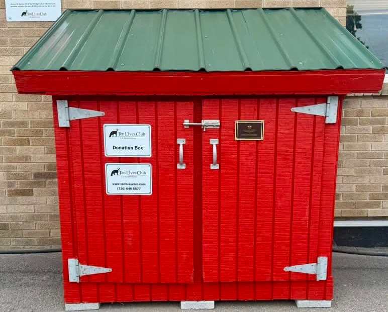 the shed